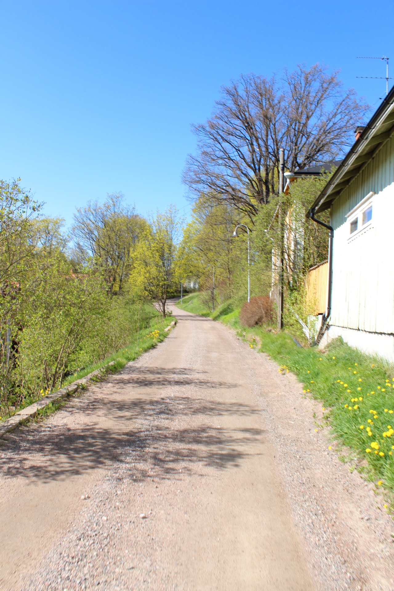 Spring