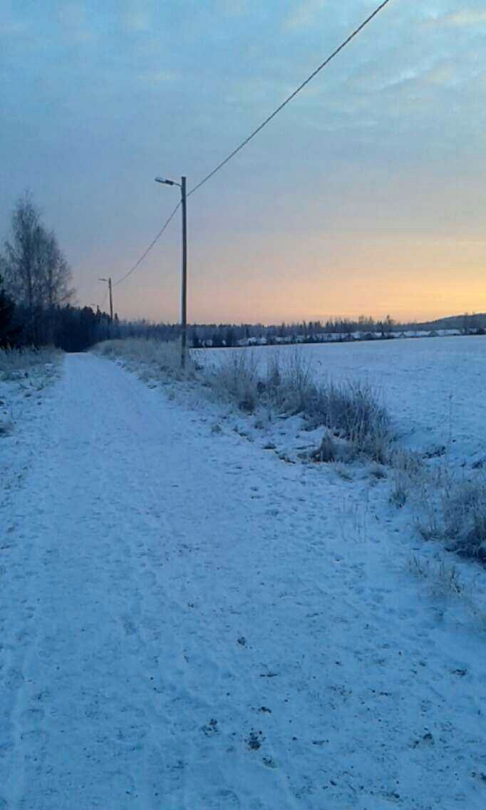 Winter