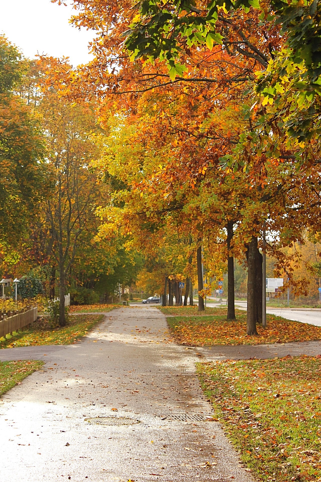 Fall
